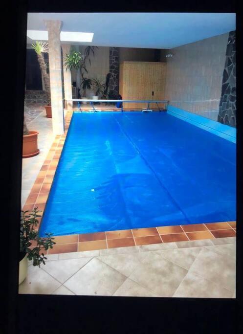 Penthouse Bernd Im Waldschloesschen Direkt Am See Вендіш-Ріц Екстер'єр фото