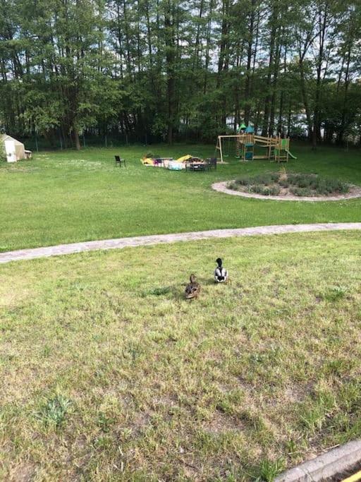 Penthouse Bernd Im Waldschloesschen Direkt Am See Вендіш-Ріц Екстер'єр фото
